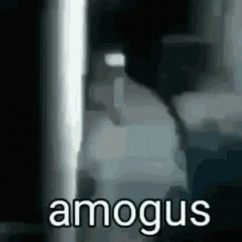 amogus-gif-21498845.gif