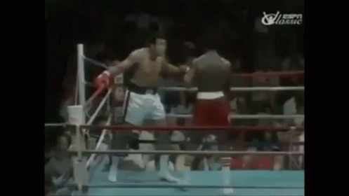 boxing-ring-dodging-punches-fighting-gif-3625065.gif
