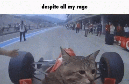cat-meme-racing-gif-26528796.gif
