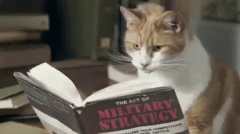 cat-reading-book-plan-kitty-gif-5764668.gif