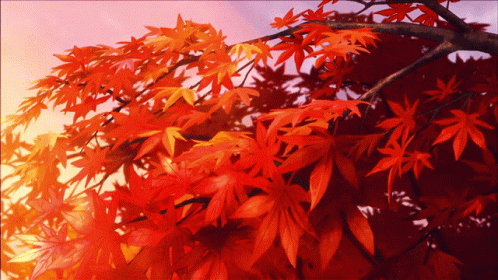 fall-autumn-leaves-anime-gif-23645384.gif