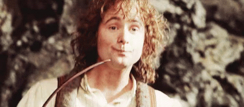 [Ansa's Stories] Retour vers le passé 3 : Les souvenirs d'une Grand-Mère : Attention contenus mature !  - Page 4 Lotr-lord-of-the-rings-billy-boyd-peregrin-took-cheers-gif-4727251
