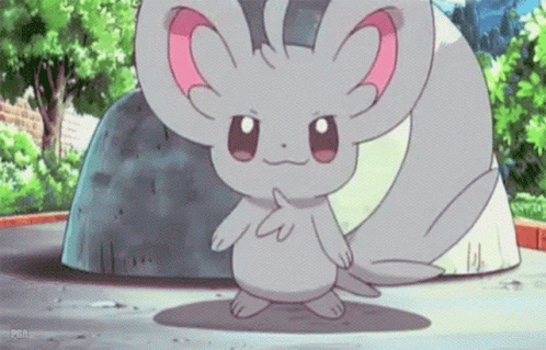 minccino-pokemon-pokemon-black-and-white-anipoke-smug-gif-20120406.gif