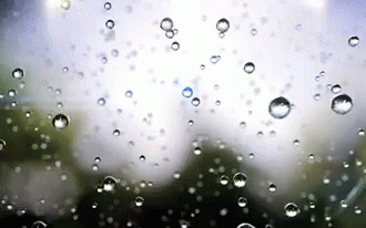 https://tenor.com/view/rain-droplets-water-drizzle-gif-7736175.gif