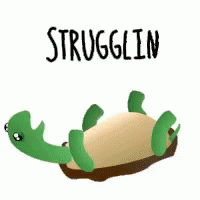 turtle-upsidedownturtle-struggle-the-struggle-is-real-humor-gif-11739400.gif